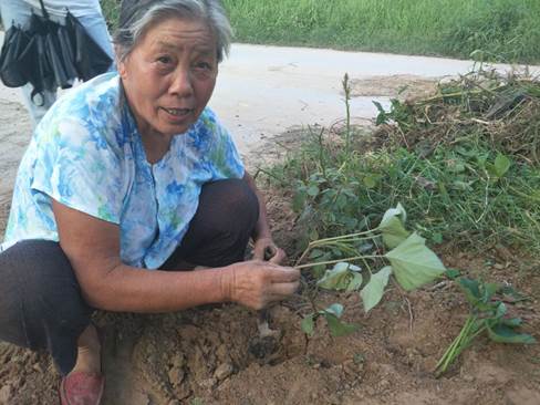 说明: QQ图片20180717182348